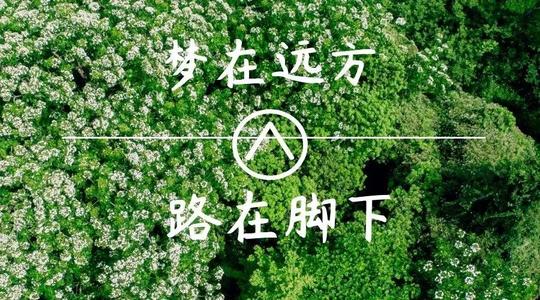 上?？婆d儀器
